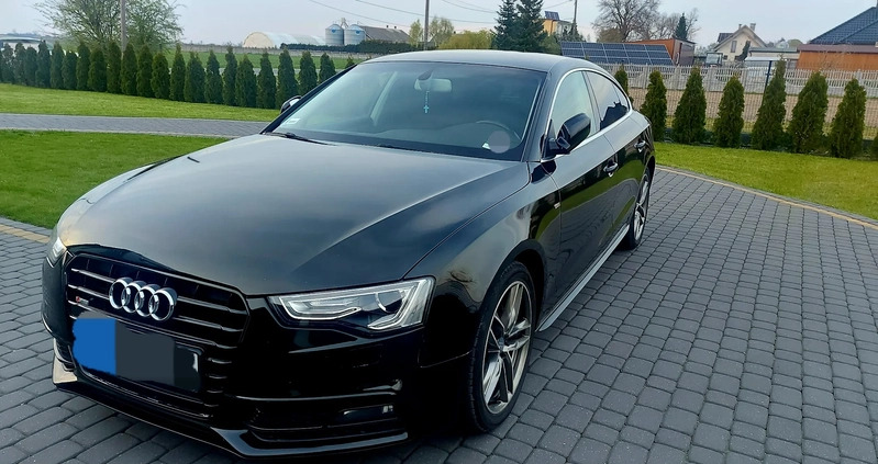 Audi A5 cena 59500 przebieg: 215000, rok produkcji 2015 z Toruń małe 67